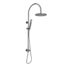 Elysian Gooseneck - Shower Rail Set - Chrome | (NZ) ABI Bathrooms ...